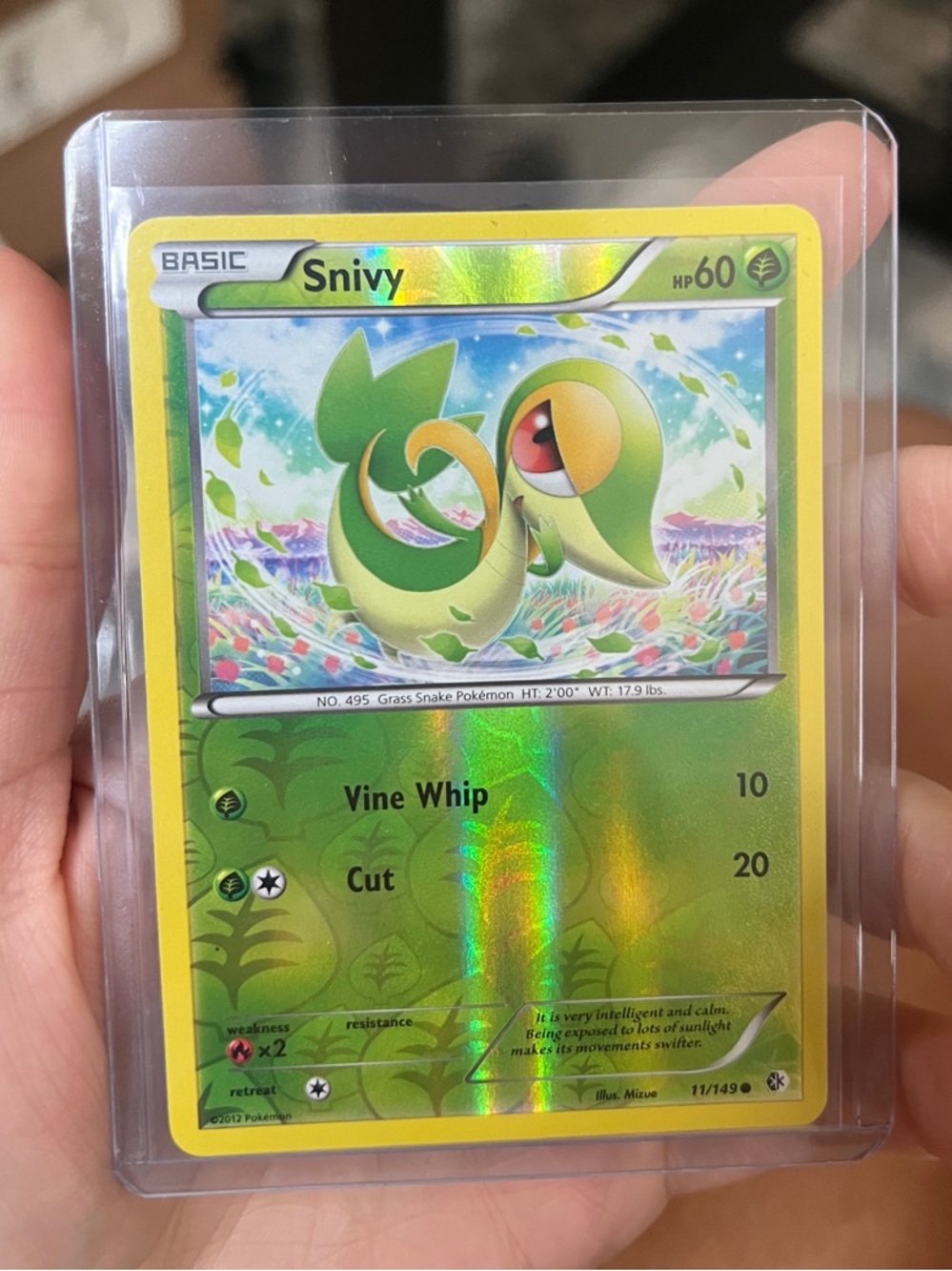 Snivy TCG Pokemon Trading Card - Reverse Holofoil Leaf pattern 11/149